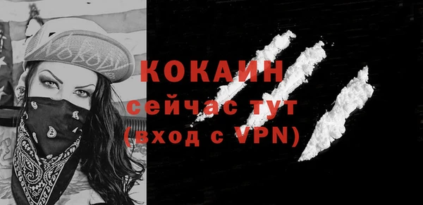 apvp Козельск
