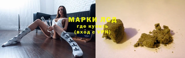 apvp Козельск