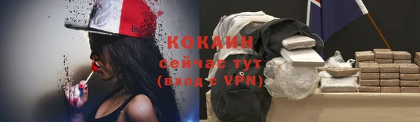 apvp Козельск