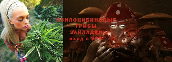 ешки Козловка